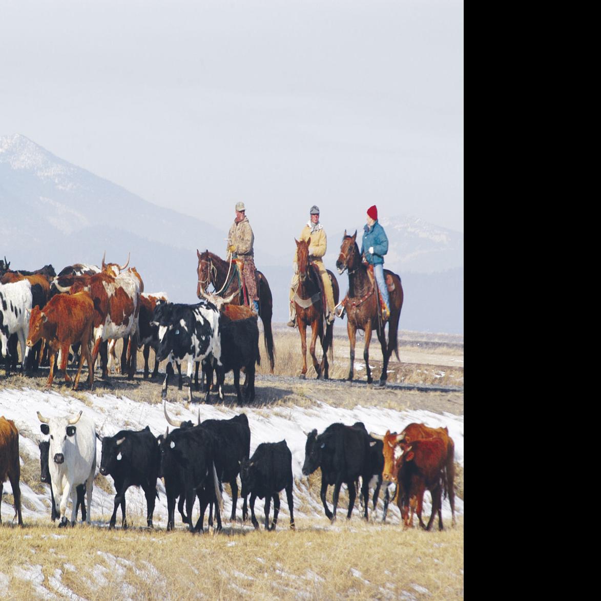 Ranching History Recalled In Book Museum Program Local News