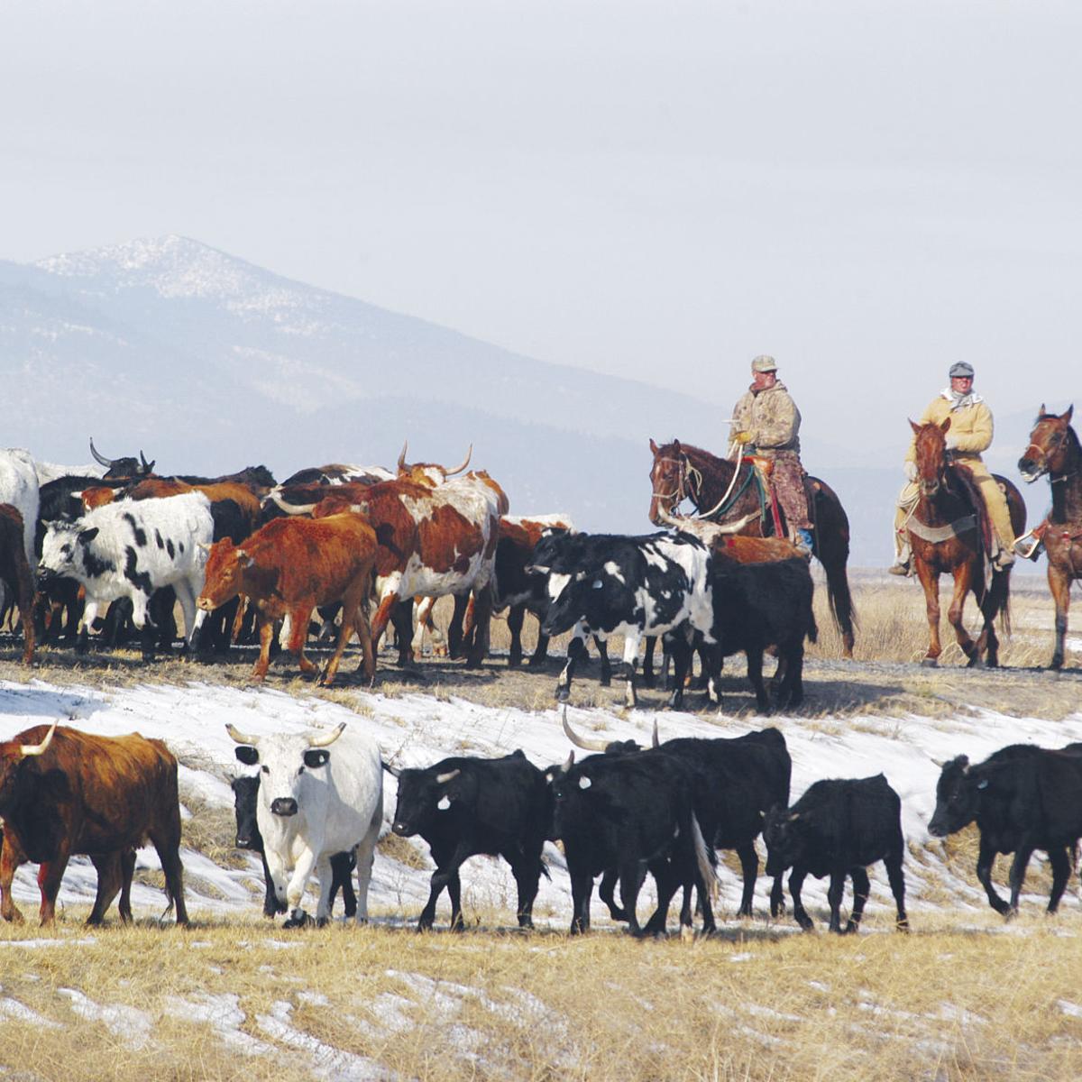 Ranching History Recalled In Book Museum Program Local News