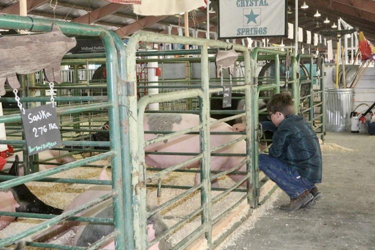 Klamath County Fair opens 101st yearly event at Fairgrounds News