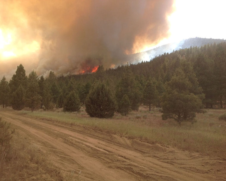 UPDATE Bryant Mountain Fire reaches 800 acres News Flash