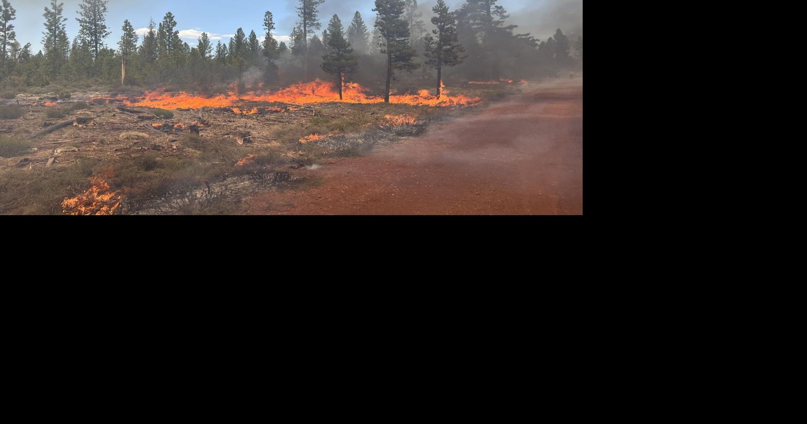 Dillon Creek Fire continues to burn within planned final perimeter ...