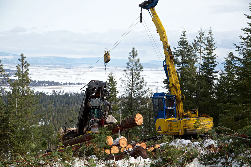 On the cutting edge News