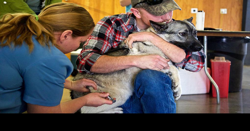 Klamath County suffers serious lack of veterinary care News