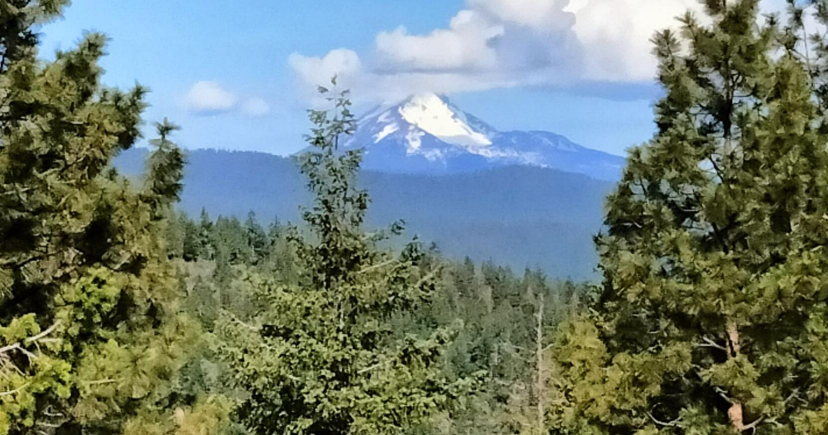 Return to Spence Mountain - Vimarsana News