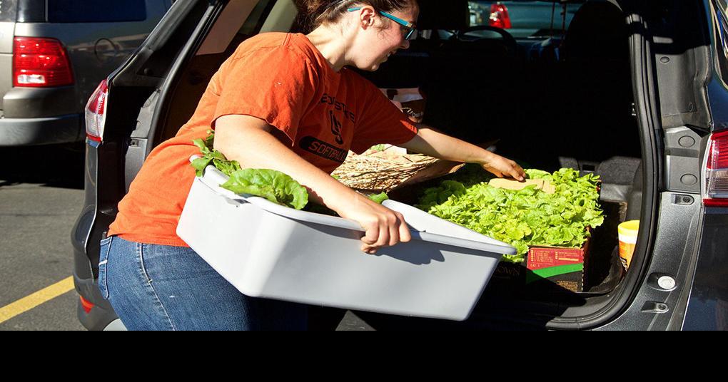 Produce connection offers fresh food for those in need Local News