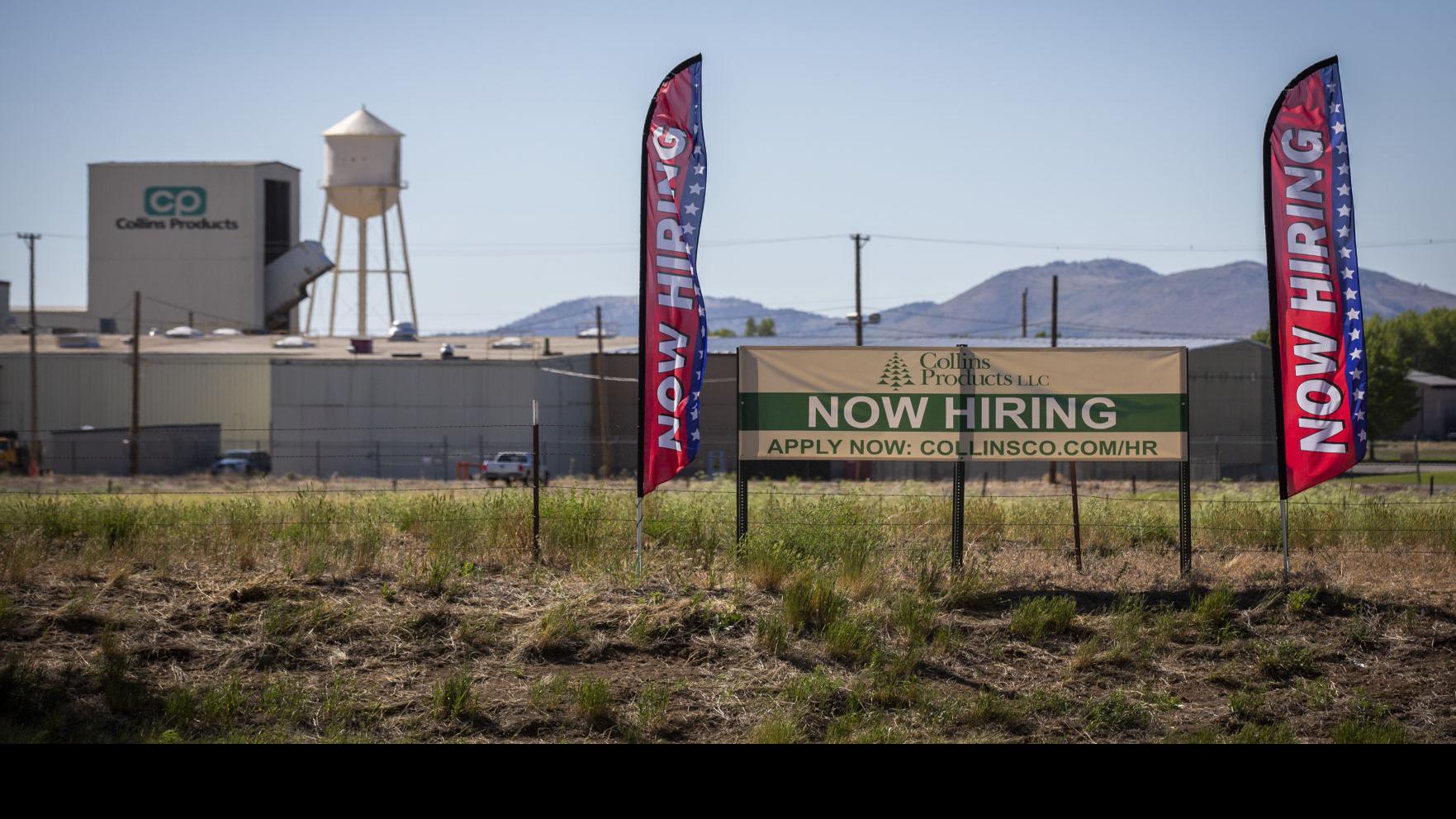 In Wild Job Market Klamath County Lumber Companies Are Looking To Hire Local News Heraldandnews Com
