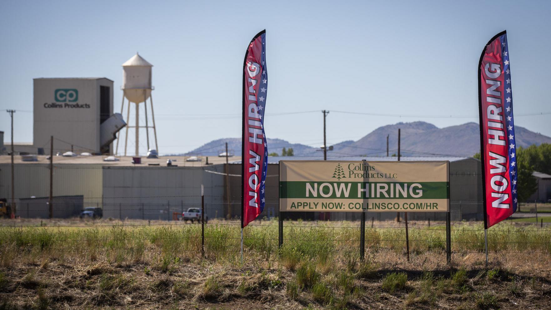 In Wild Job Market Klamath County Lumber Companies Are Looking To Hire Local News Heraldandnews Com