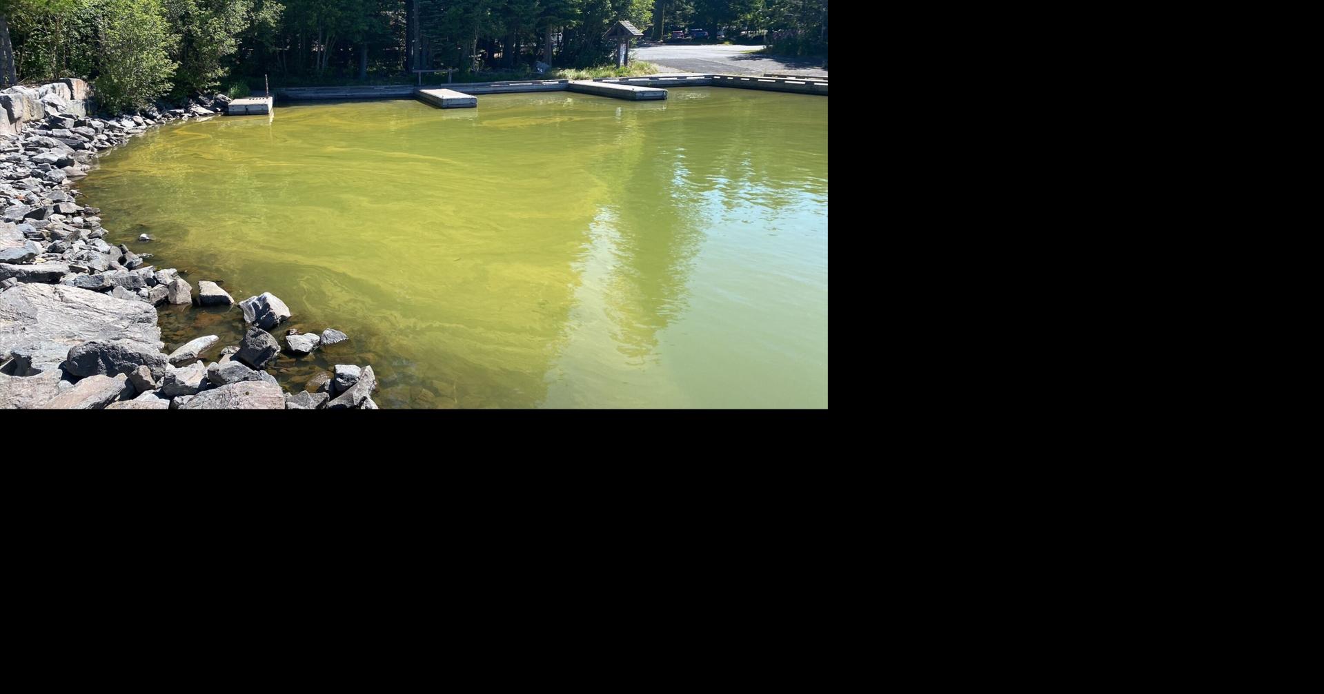 Oregon Health Authority issues recreational-use health advisory for Odell Lake in Klamath County