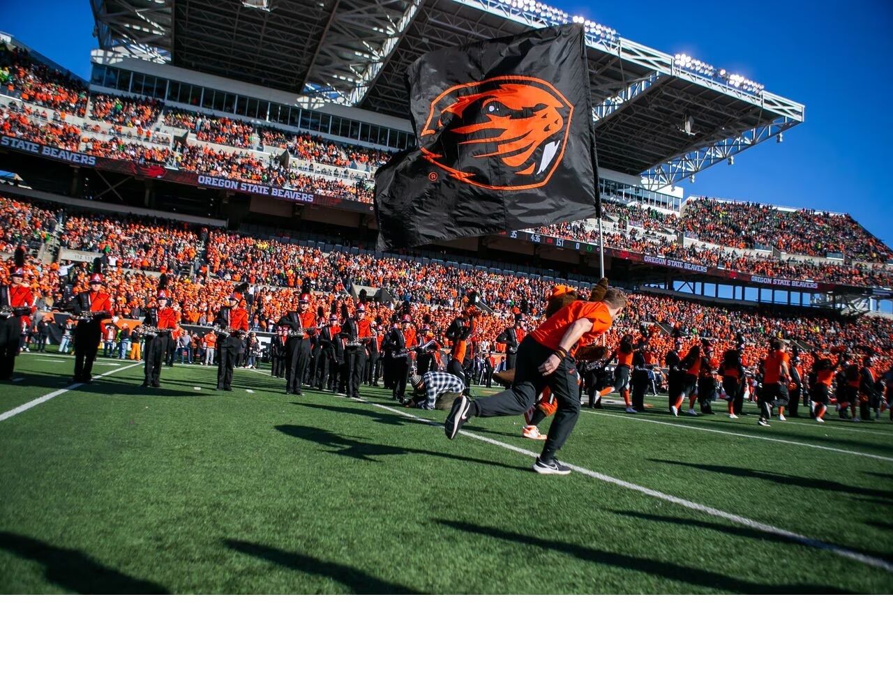 Oregon state on sale university football