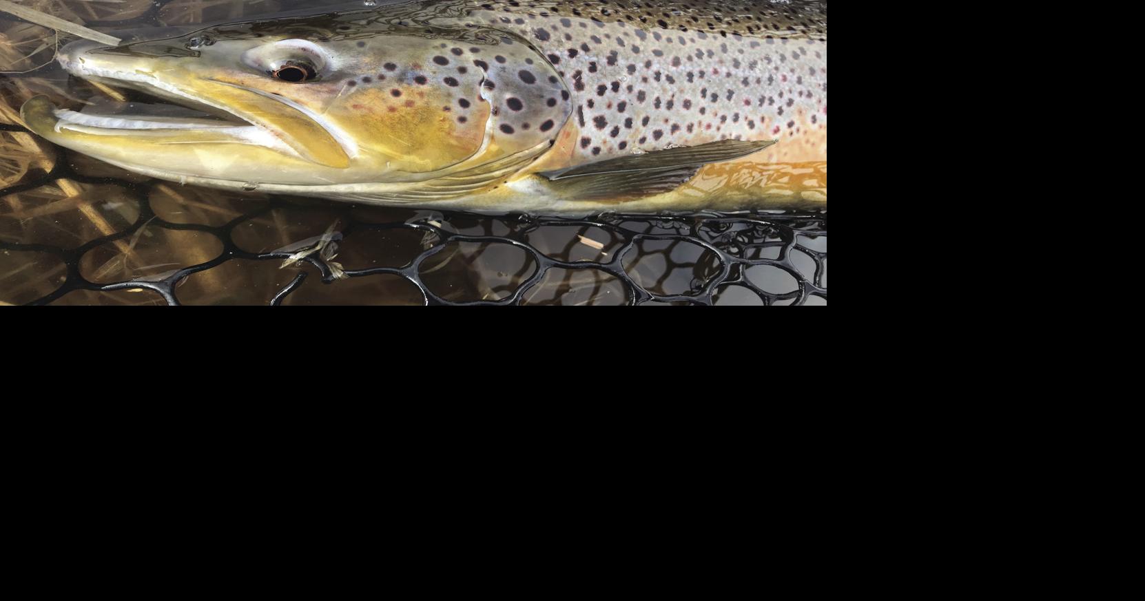 The measure of a man ... and a fish | Outdoors | heraldandnews.com