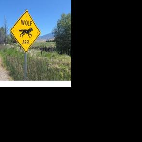 Wolf awareness signs installed in Siskiyou County