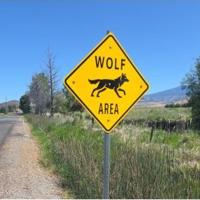Wolf awareness signs installed in Siskiyou County