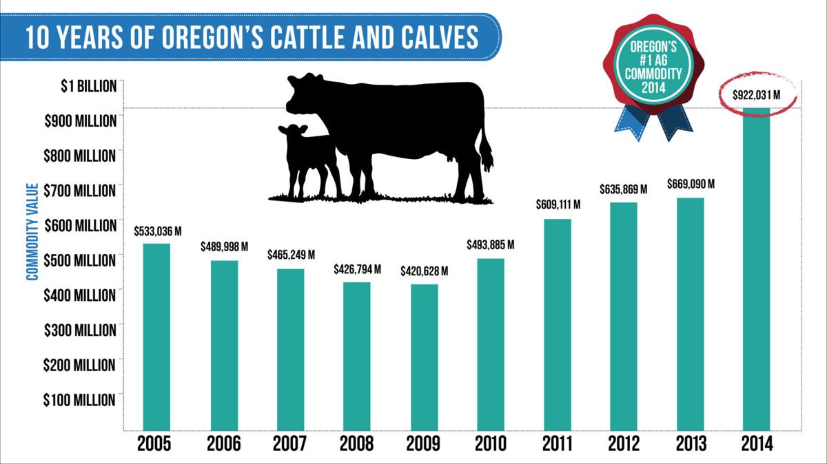 Cattle on top Agriculture