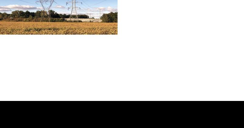 Regional electricity demand projected to rise nearly 25% in next decade