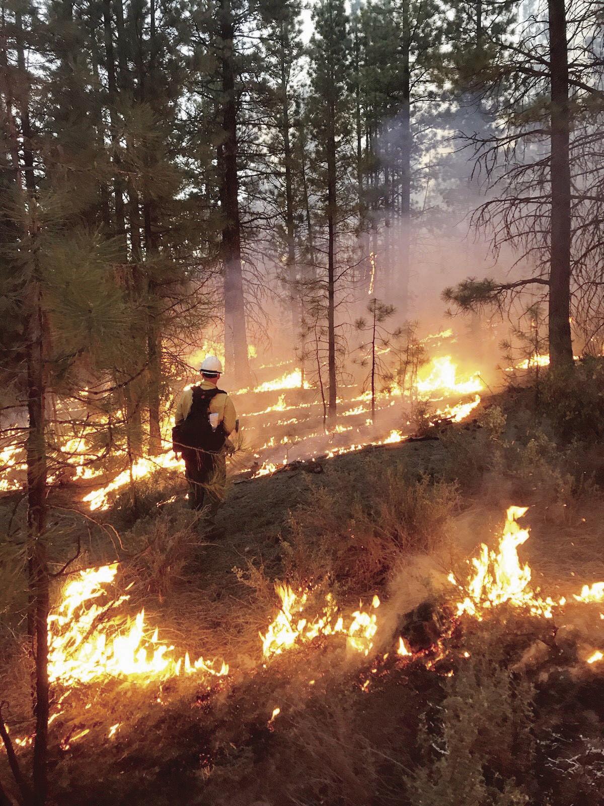 Lightning Sparks Taylor Butte Fire Local News Heraldandnews Com
