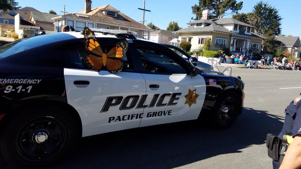 Butterfly Parade helps ease the anxiety of current events Local News