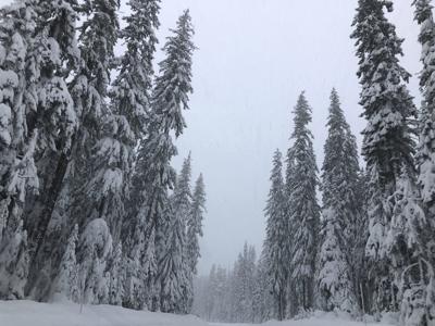 Say It Ain T Snow National Weather Service Says The Worst Weather