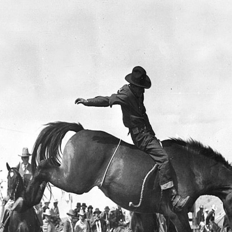 A Tale Of Five Buckaroos Life On The Mc Ranch Breaking Heraldandnews Com