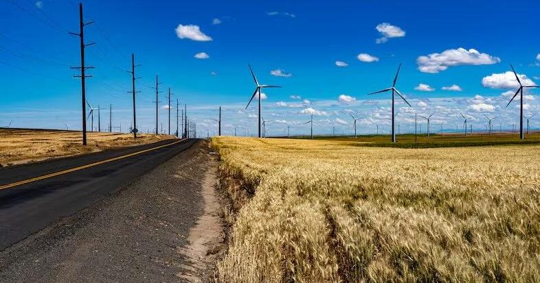 Trump&rsquo;s farm bailout probably won&rsquo;t cover wheat growers' losses