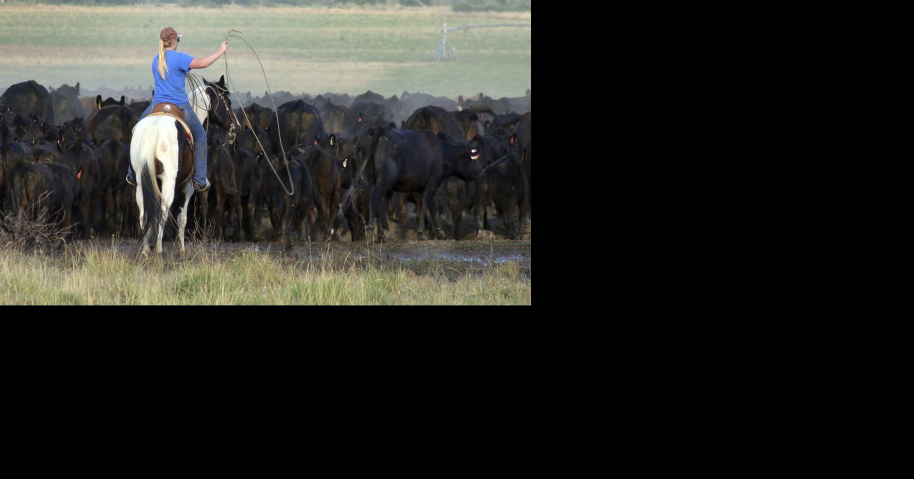 Drought puts burden on Oregon ranchers | Agriculture | heraldandnews.com