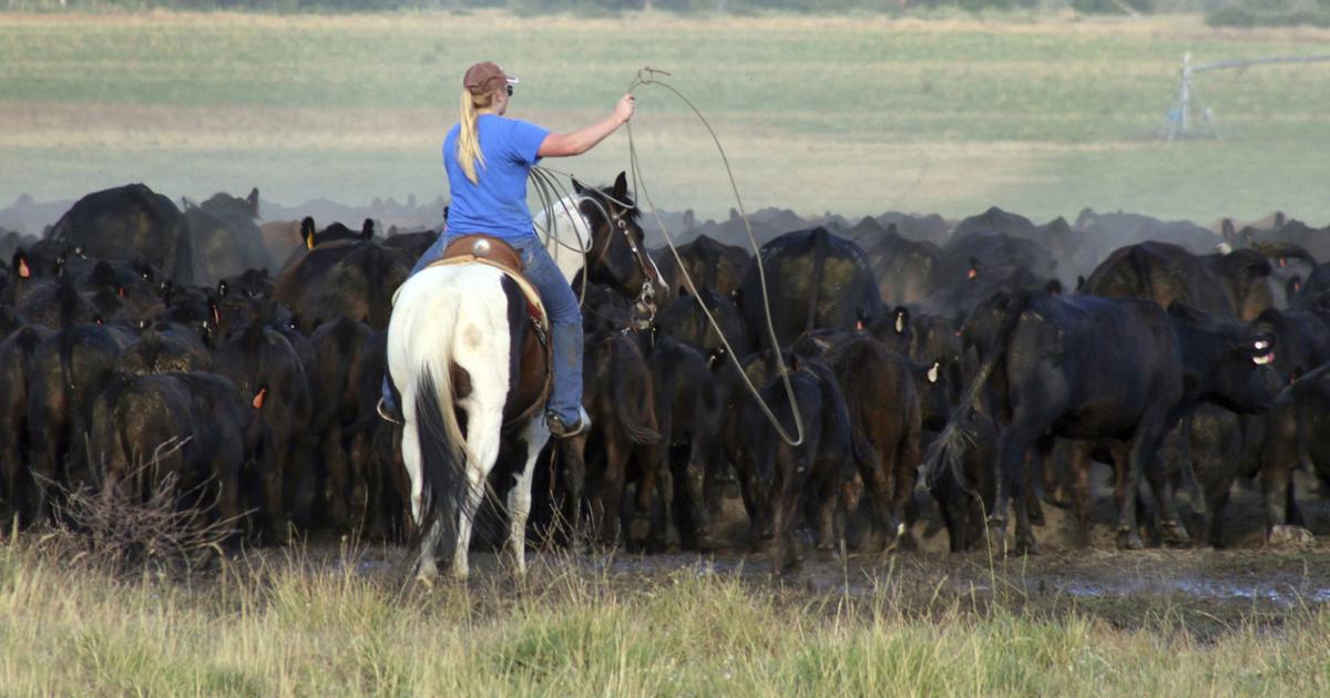 Drought puts burden on Oregon ranchers | Agriculture | heraldandnews.com