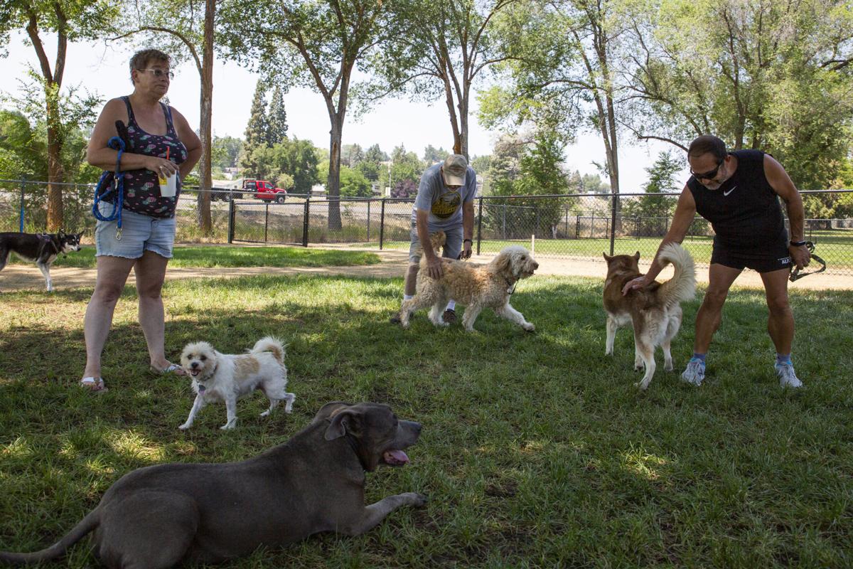 Hot dogs enjoy new Klamath Falls park Local News