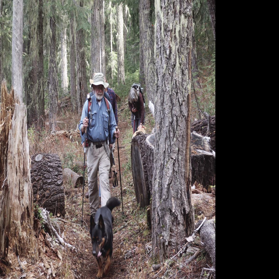 Finding Surprises Along The Trail To South Brown Mountain Local News Heraldandnews Com