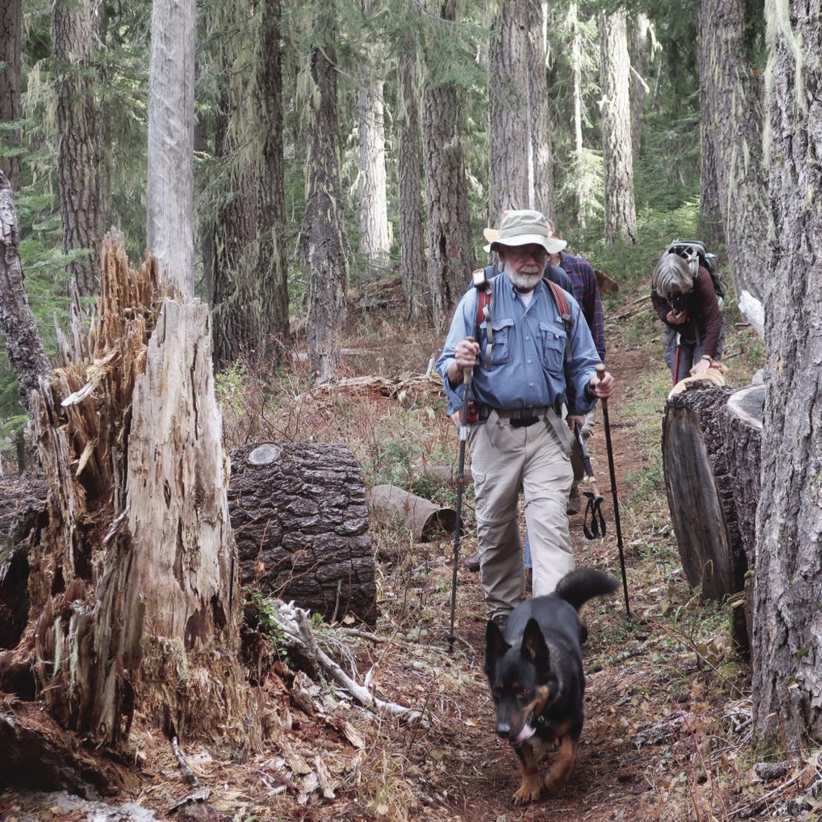 Finding Surprises Along The Trail To South Brown Mountain Local News Heraldandnews Com