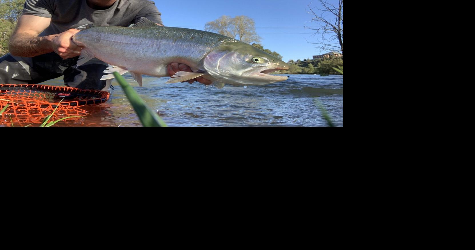 Caught Ovgard column: May Day always lifts that sinking feeling