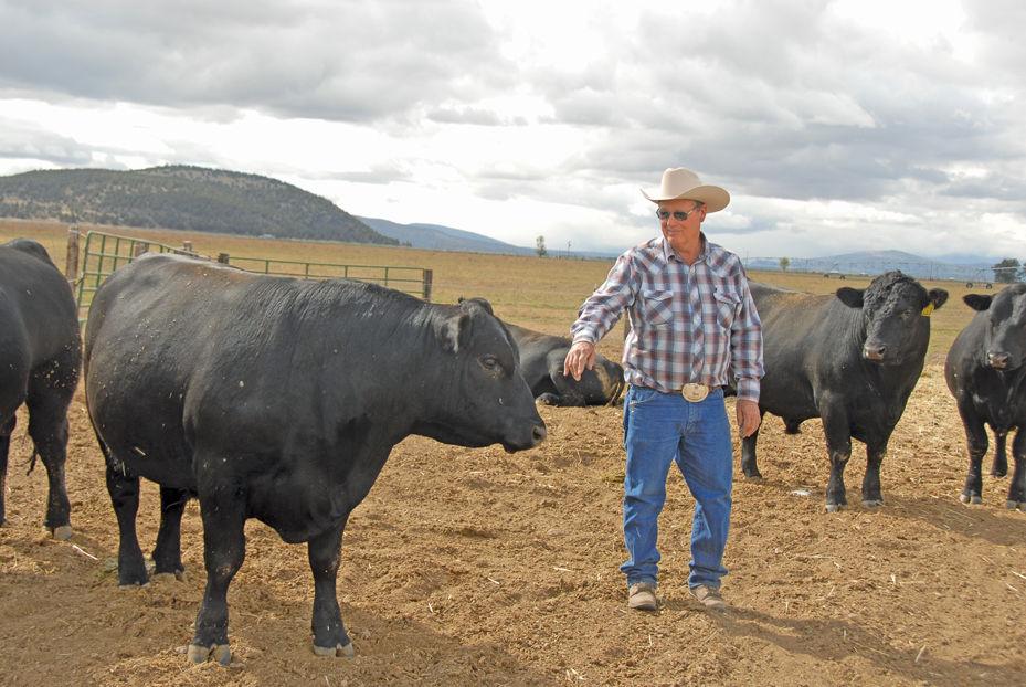 The cattlemen’s cattleman News