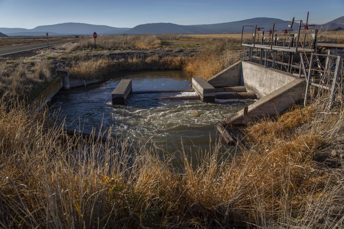 Lower Klamath National Wildlife Refuge