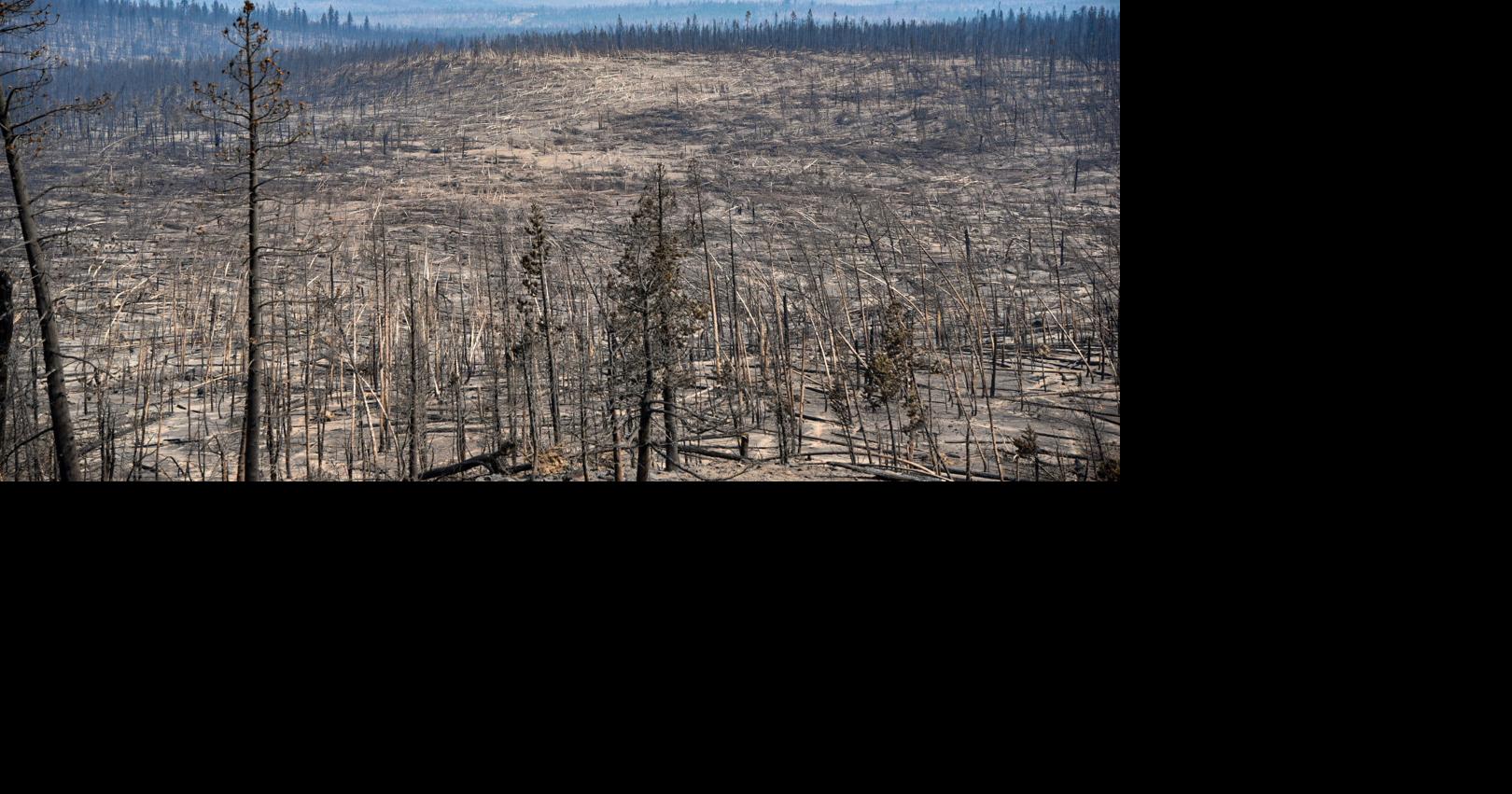 Bootleg Fire formed a tornado, with wind speeds higher than 111 mph ...
