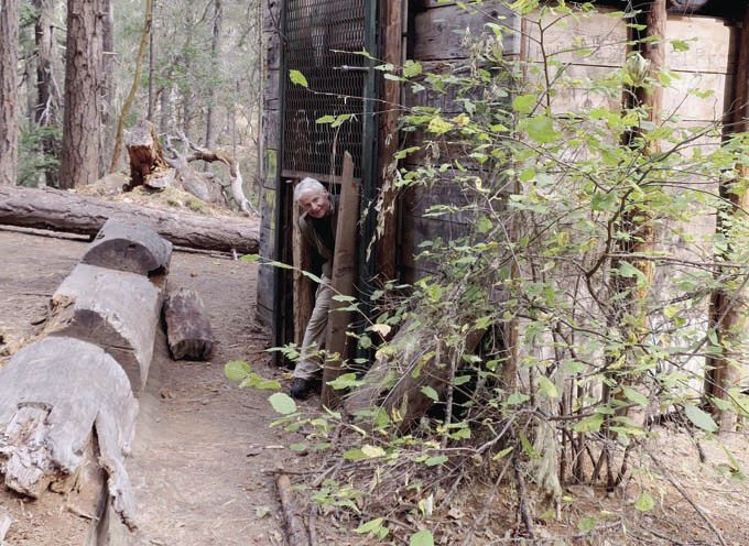 Did men capture photo of a Bigfoot by North Carolina lake