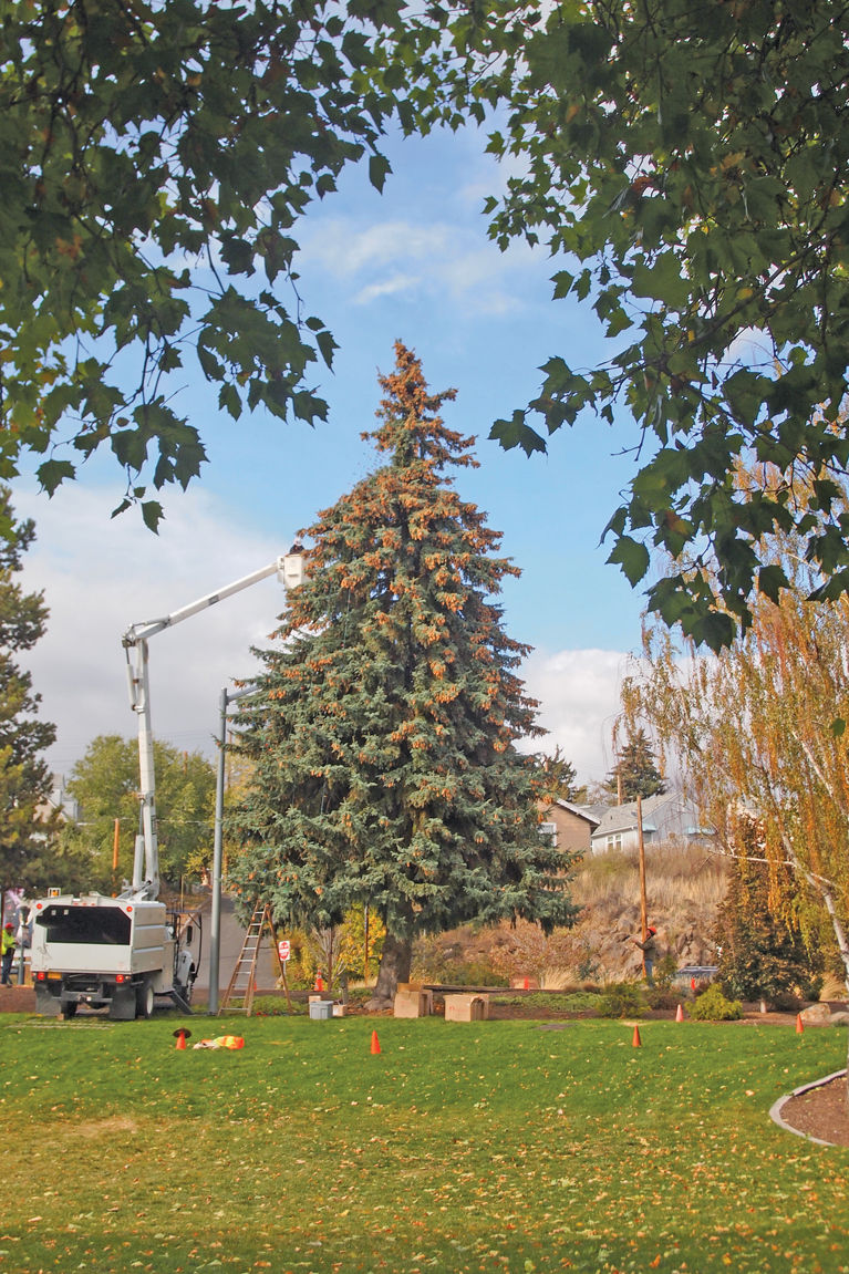 New lights to illuminate downtown Klamath Falls holiday tree News
