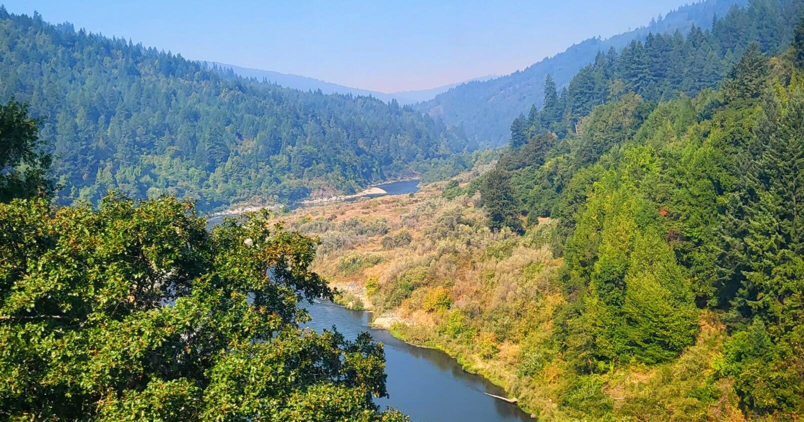 Fish reintroduction topic for field trip, meeting - Vimarsana News