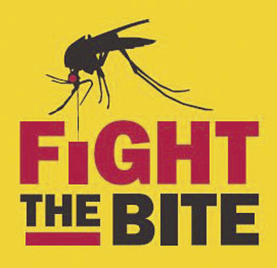 Mosquitoes in Hamilton test positive for West Nile virus