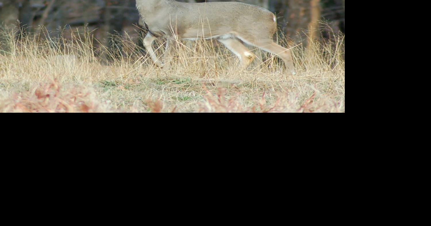 Outdoors with Luke enjoying the first day of deer season Sports