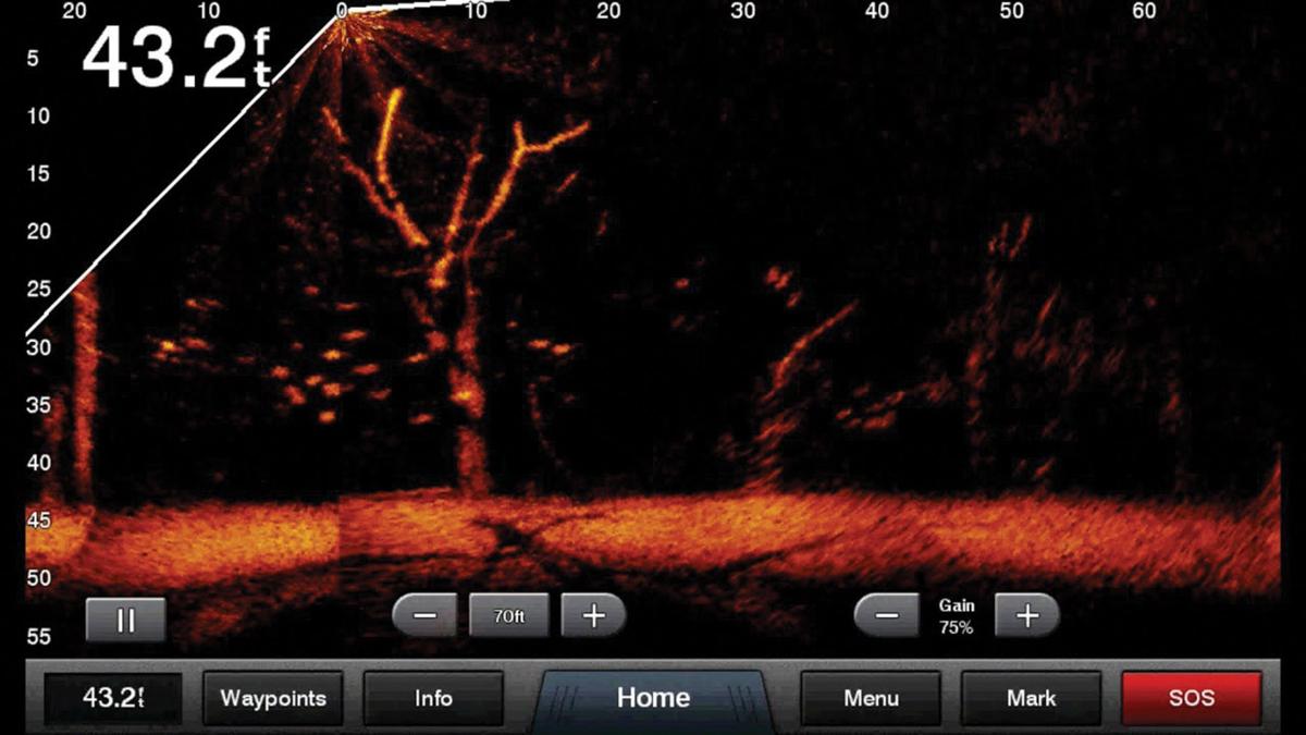 Outdoors with Luke: LiveScope makes finding the fish easier, Sports