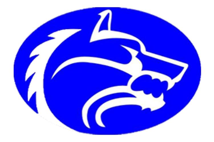 Football capsules Commerce Tigers, Lone Oak Buffaloes, Celeste Blue Devils, Tom Bean Tom Cats