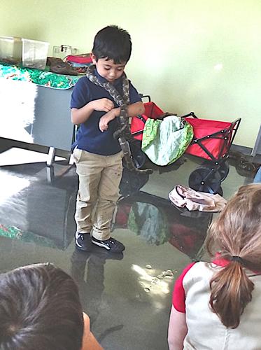 Zander with a Snake