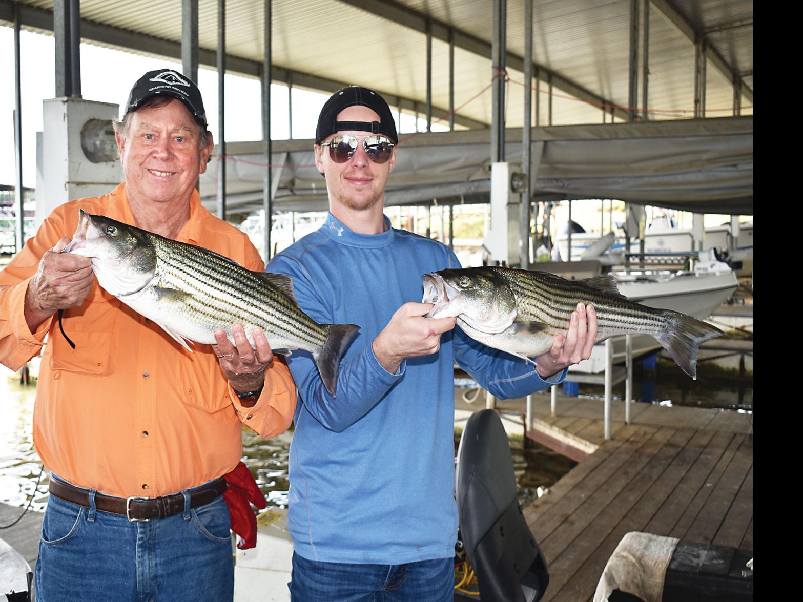Outdoors With Luke Two Lukes Fish For Texoma Stripers Sports Heraldbanner Com