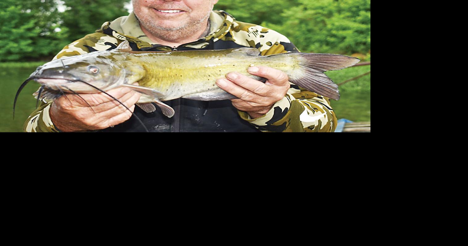 The best catfish bait - North Texas e-News