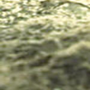 It S Not Supposed To Be Here Lifestyles Heraldbanner Com