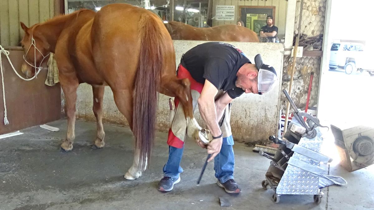 ★ Farrier near meyersdale pa ★ Farrier near meyersdale pa