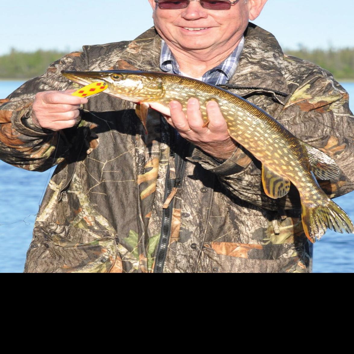 Northern Pike Caught On My Fly Rod, Ray F.