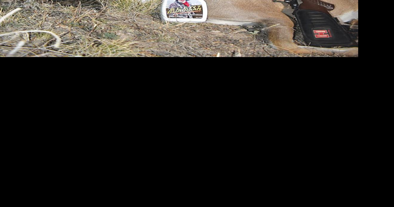 Outdoors with Luke Luke goes deer hunting in West Texas Sports