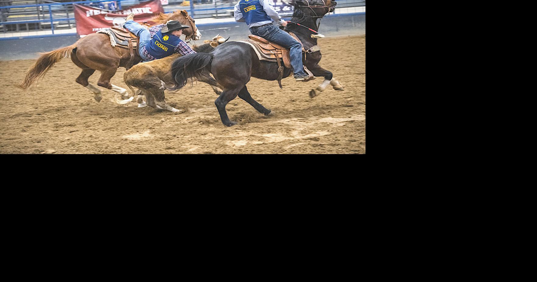 TAMUC Rodeo Team performs strong this season | Local News ...