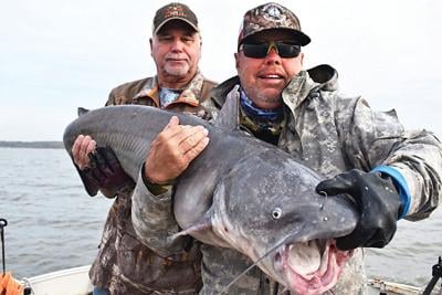 Bank on Big Catfish from the Shore - Game & Fish
