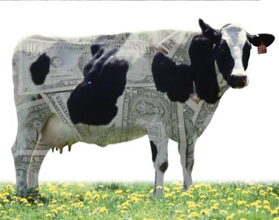 Cash cow