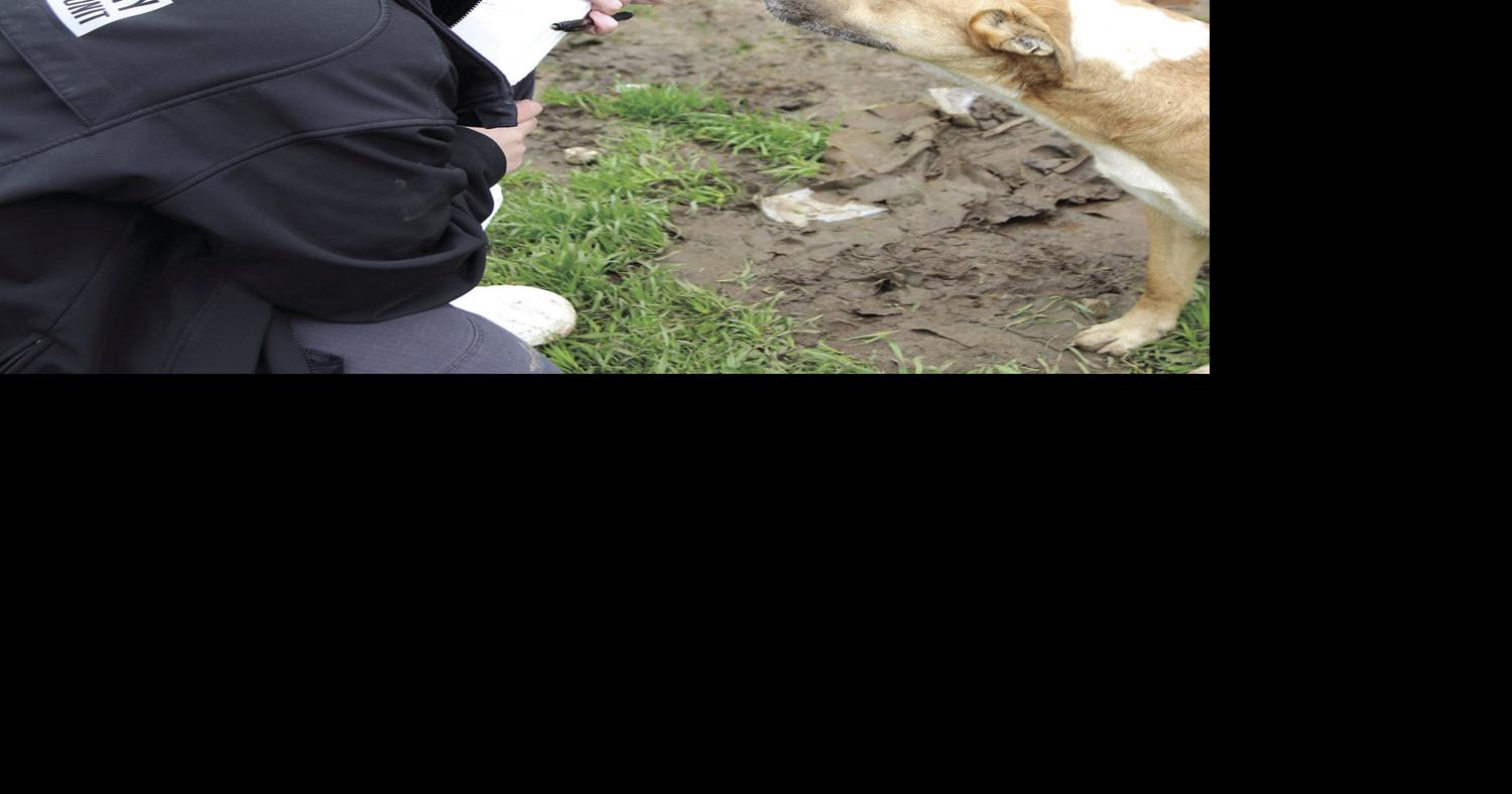 Custody hearing scheduled today for seized animals | Local News ...